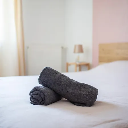 T3 Avec Terrasse Et Parking, A Proximite De L'aeroport Et D'airbus Lejlighed