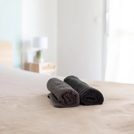 T3 Avec Terrasse Et Parking, A Proximite De L'aeroport Et D'airbus Toulouse